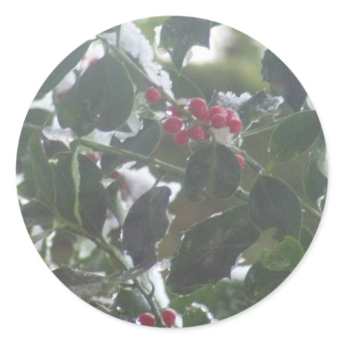 Snow Covered Holly sticker
