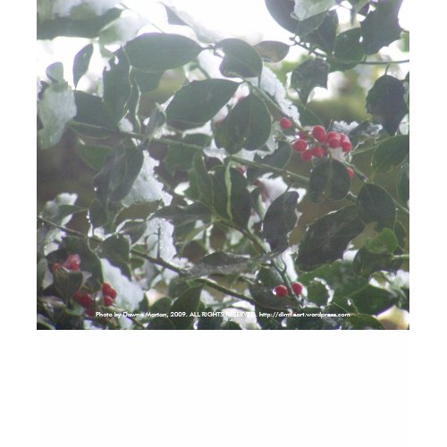 Snow Covered Holly shirt