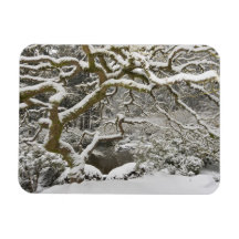 Snow-covered Japanese maple 2 Flexible Magnets