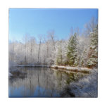 Snow covered landscape around the pond tile
