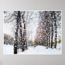 Snow covered Landscape Poster