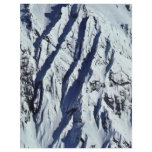 Snow-covered Mountains flyers