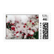 Snow Covered Nandina Berries postage
