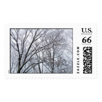 Snow-covered Oak Tree – Large stamps
