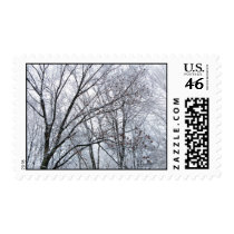 Snow-covered Oak Tree – Medium stamps
