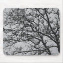 Snow Covered Oak Tree Mousepad
