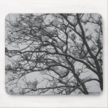 Snow Covered Oak Tree Mousepad