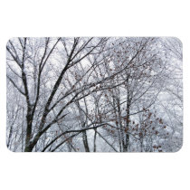 Snow-covered Oak Tree magnets