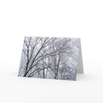 Snow-covered Oak Tree Season's Greetings card cards