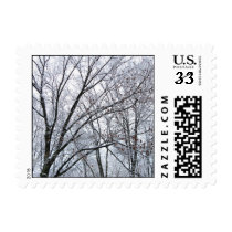 Snow-covered Oak Tree – Small stamps
