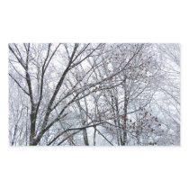 Snow-covered Oak Tree stickers