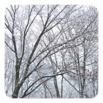 Snow-covered Oak Tree stickers