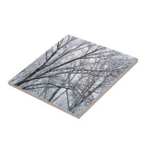 Snow-covered Oak Tree tiles