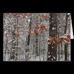 Snow Covered Oak Trees Card