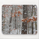 Snow Covered Oak Trees Mousepad