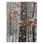 Snow Covered Oak Trees Notebook