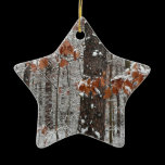 Snow Covered Oak Trees Ornament