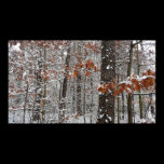 Snow Covered Oak Trees Print