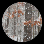 Snow Covered Oak Trees Sticker