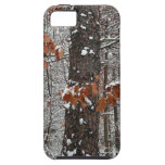 Snow Covered Oak Trees Tough iPhone 5 Case