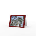 snow covered pines cards