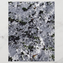 Snow Covered Rock Texture Flyer Design