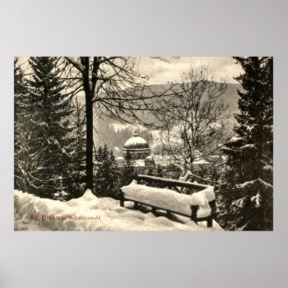 Snow covered Saint Blasien Germany 1907 vintage print
