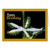 Snow-Covered Star on Pine Tree, Birthday Card