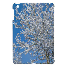 Snow Covered Tree