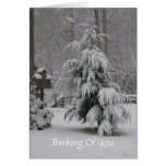 Snow Covered Tree Note Card