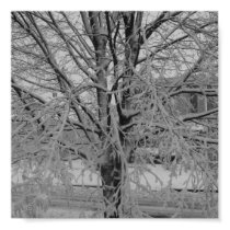 Snow covered tree poster posters by BrattiGrl Snow covered tree poster posters