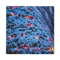 Snow Covered Tree With Holiday Lights Magnet  magnets