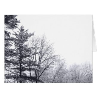 Snow-covered Trees: Horizontal Large Greeting Card