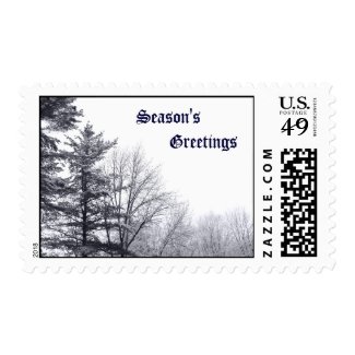 Snow-covered Trees: Horizontal – Medium Postage Stamp
