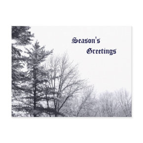 Snow-covered Trees: Horizontal Postcard