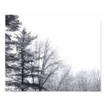 Snow-covered Trees: Horizontal posters
