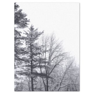 Snow-covered Trees Tissue Paper 17" X 23" Tissue Paper