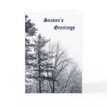 Snow-covered Trees: Vertical Greeting Cards