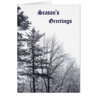 Snow-covered Trees: Vertical Greeting Cards
