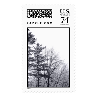 Snow-covered Trees: Vertical – Large