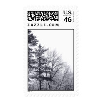 Snow-covered Trees: Vertical – Medium stamps