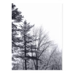 Snow-covered Trees: Vertical Postcard