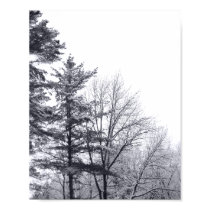 Snow-covered Trees: Vertical posters