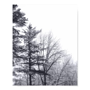 Snow-covered Trees: Vertical