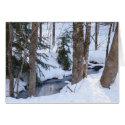 Snow Covered Woods cards by tmurray13 Snow Covered Woods cards
