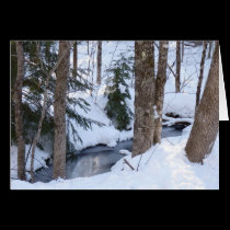 Snow Covered Woods cards