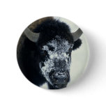Snow coverered Buffalo buttons
