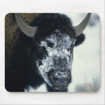 Snow coverered Buffalo Mouse Mats