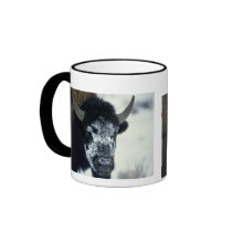 Snow coverered Buffalo mugs by MuseMagic Snow coverered Buffalo mugs