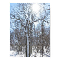 Snow crossing posters by BChild333 Snow crossing posters